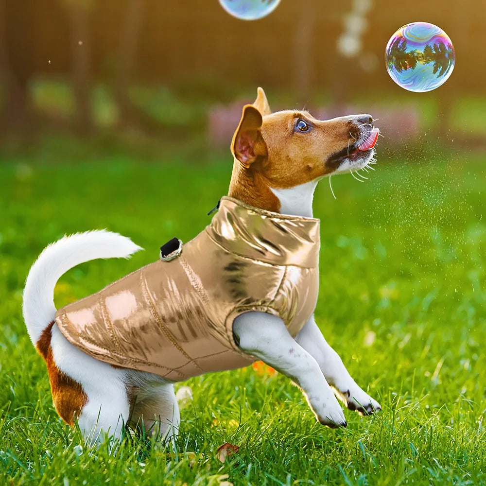 DoggieDeluxe™ Dazzling Puffer Dog Jacket