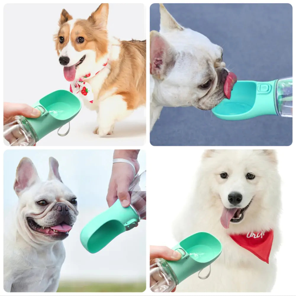 DoggieDeluxe™ Portable Dog Water Bottle
