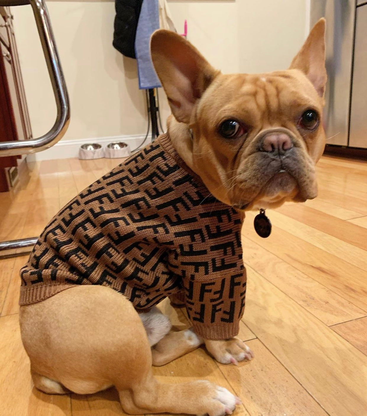 Pendi Chic Canine Sweater Collection