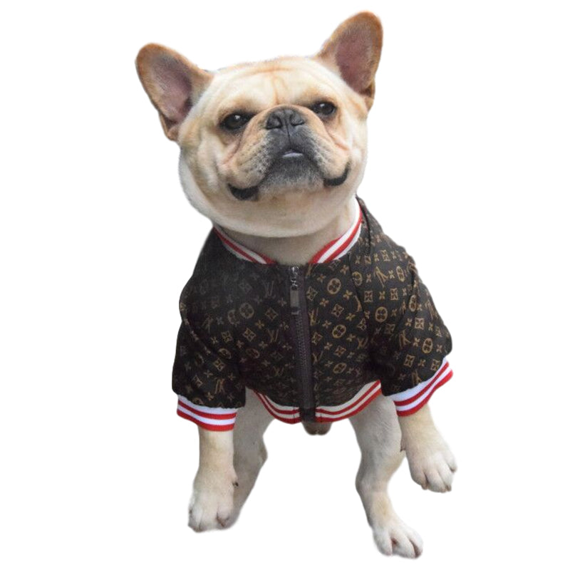 Stylish Pup Bomber Jacket
