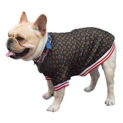 Stylish Pup Bomber Jacket