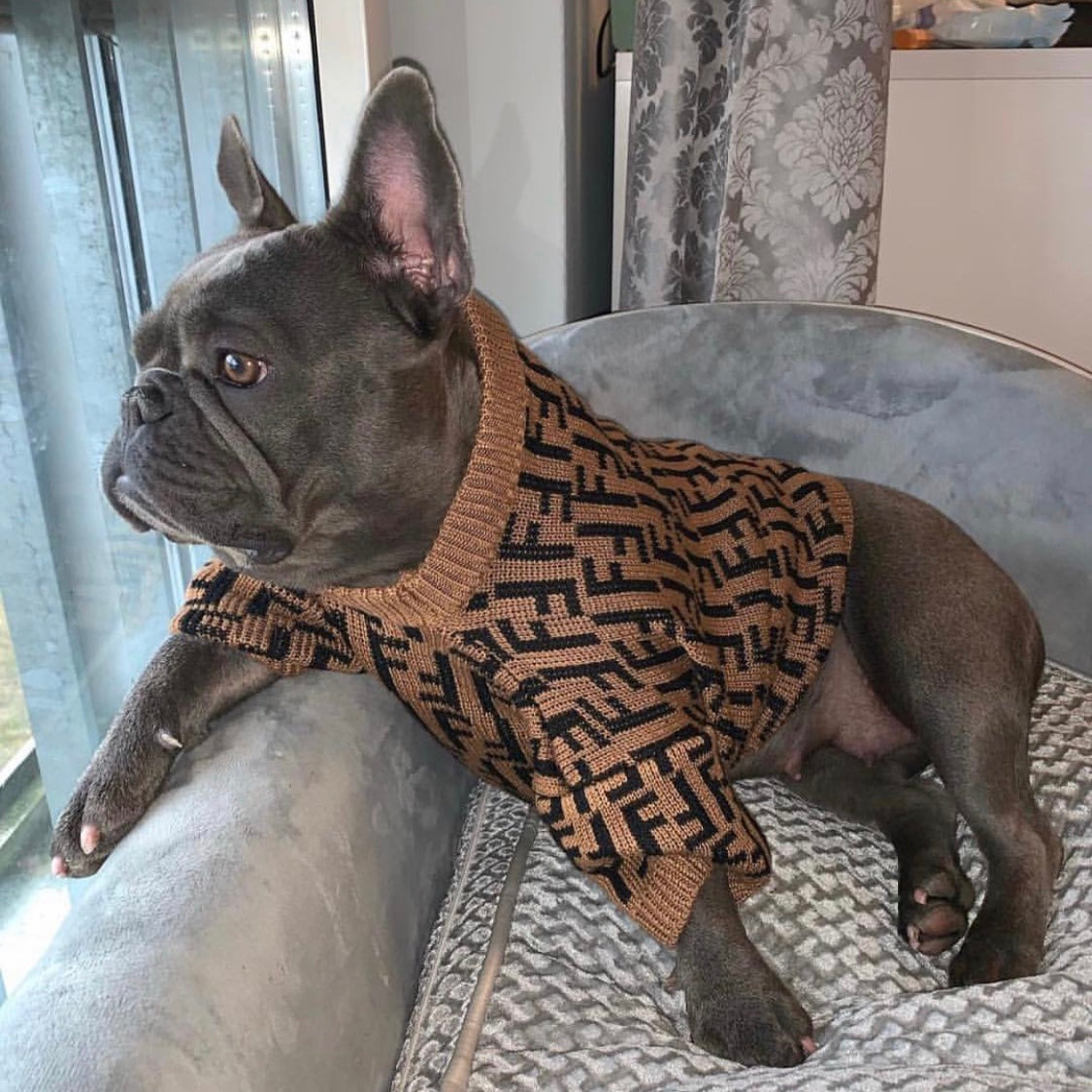Pendi Chic Canine Sweater Collection
