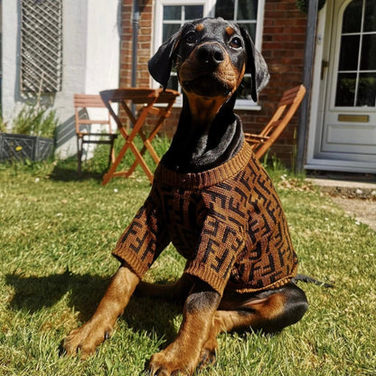 Pendi Chic Canine Sweater Collection