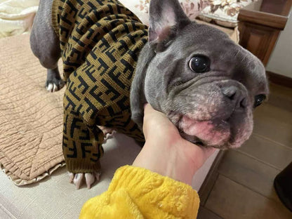 Pendi Chic Canine Sweater Collection