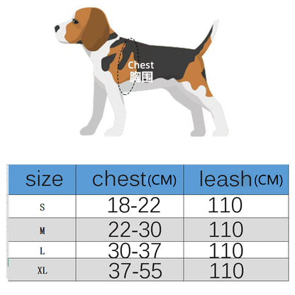 Monogram Dog Harness and Leash Set