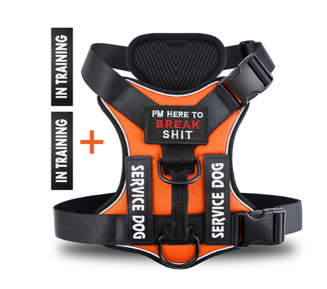 Ultimate Cuddly Dog Harness