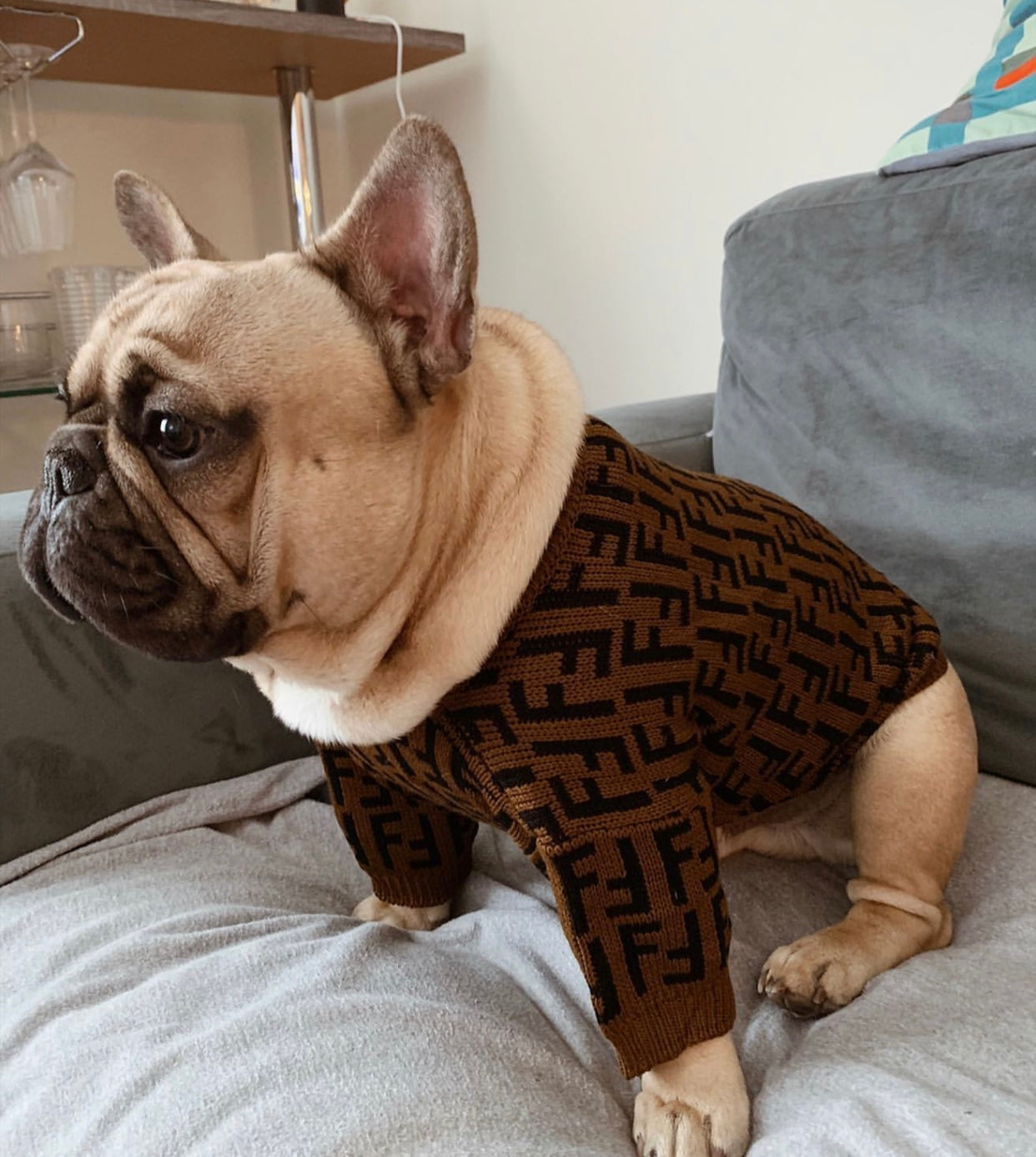Pendi Chic Canine Sweater Collection