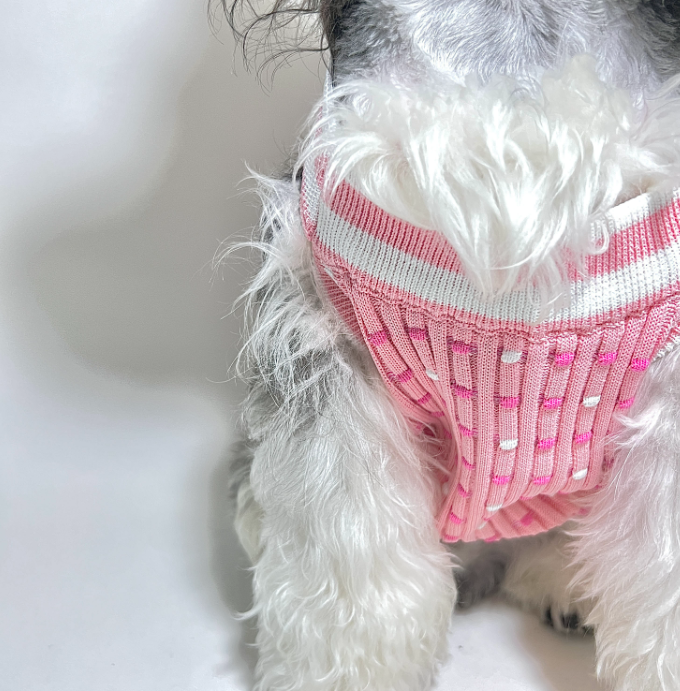 DoggieDeluxe™ Pink Classic Sweater
